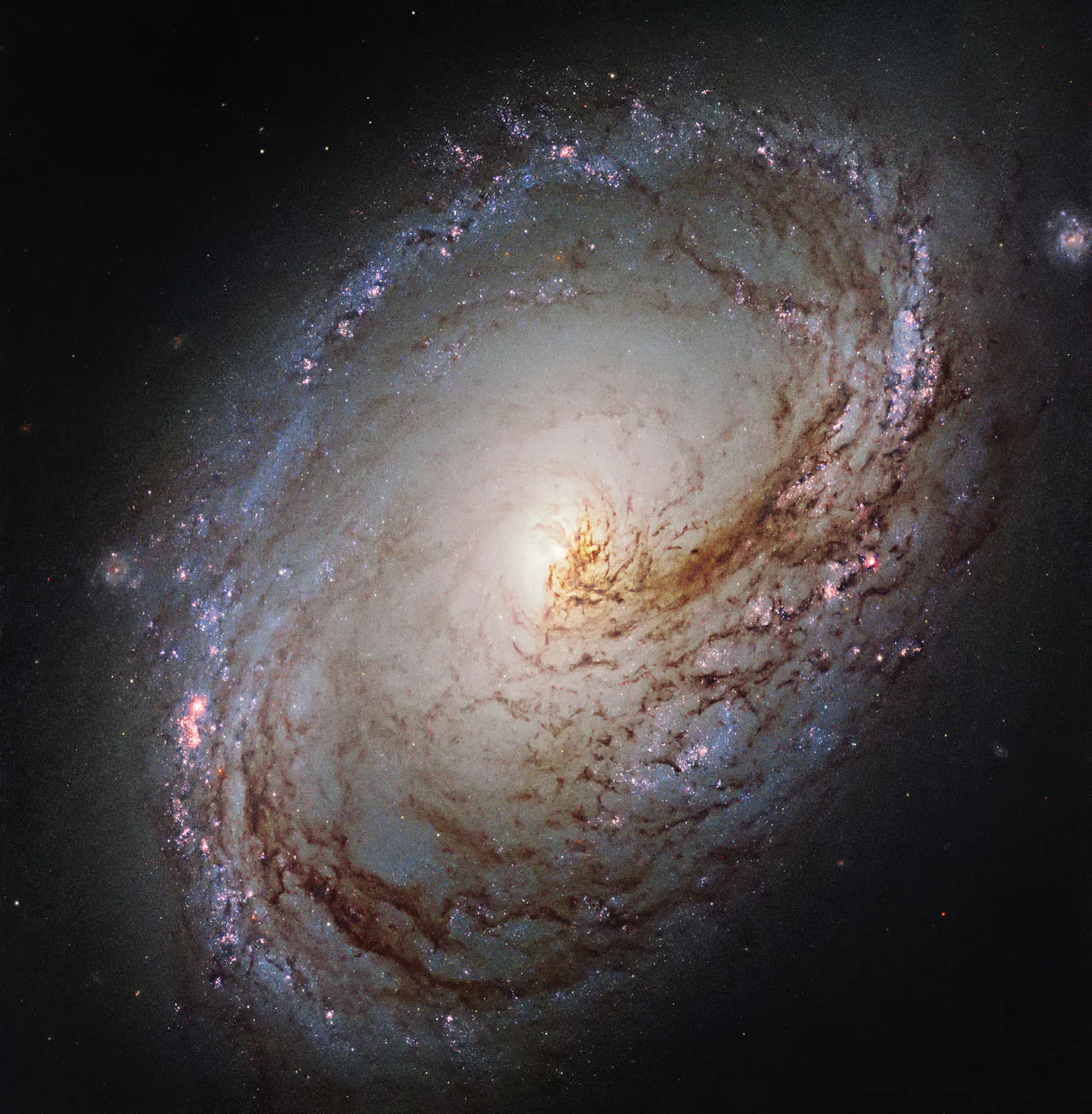 This new NASA/ESA Hubble Space Telescope shows Messier 96, a spiral galaxy just over 35 million light-years away in the constellation of Leo (The Lion). It is of about the same mass and size as the Milky Way. It was first discovered by astronomer Pierre Méchain in 1781, and added to Charles Messier's famous catalogue of astronomical objects just four days later. The galaxy resembles a giant maelstrom of glowing gas, rippled with dark dust that swirls inwards towards the nucleus. Messier 96 is a very asymmetric galaxy; its dust and gas is unevenly spread throughout its weak spiral arms, and its core is not exactly at the galactic centre. Its arms are also asymmetrical, thought to have been influenced by the gravitational pull of other galaxies within the same group as Messier 96. This group, named the M96 Group, also includes the bright galaxies Messier 105 and Messier 95, as well as a number of smaller and fainter galaxies. It is the nearest group containing both bright spirals and a bright elliptical galaxy (Messier 105).